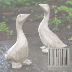 Campania Kate's Goose