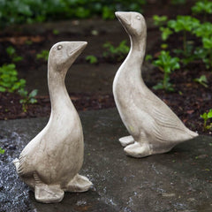 Campania Kate's Goose
