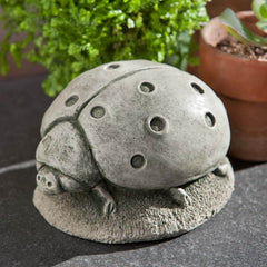 Campania Ladybug