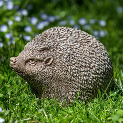 Campania Hedgerow