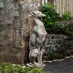 Campania Antique Greyhound