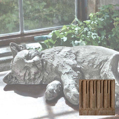 Campania Dreaming Kitty