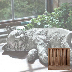 Campania Dreaming Kitty