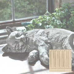 Campania Dreaming Kitty