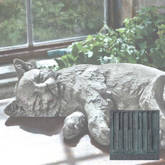 Campania Dreaming Kitty