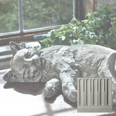 Campania Dreaming Kitty