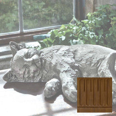 Campania Dreaming Kitty