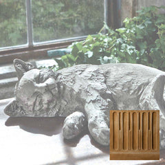 Campania Dreaming Kitty