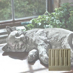 Campania Dreaming Kitty
