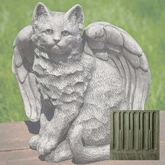 Campania Angel Kitty