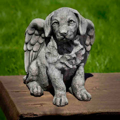 Campania Angel Puppy