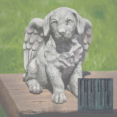 Campania Angel Puppy