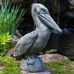 Campania Pelican