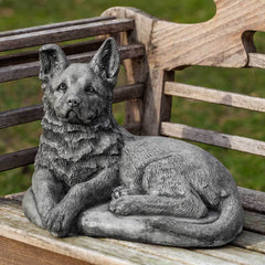 Campania Shepherd Pup