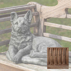 Campania Shepherd Pup