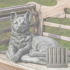 Campania Shepherd Pup
