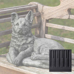 Campania Shepherd Pup