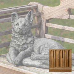 Campania Shepherd Pup