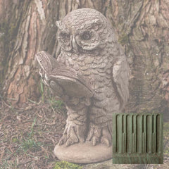 Campania Scholarly Owl