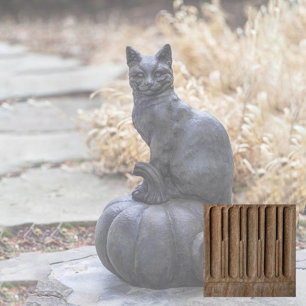 Campania Cat on Pumpkin
