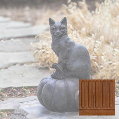 Campania Cat on Pumpkin