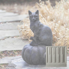 Campania Cat on Pumpkin