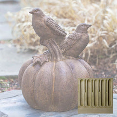 Campania Birds on Pumpkin