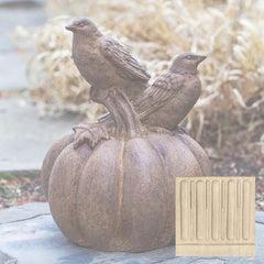 Campania Birds on Pumpkin