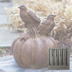 Campania Birds on Pumpkin