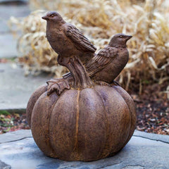 Campania Birds on Pumpkin