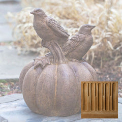 Campania Birds on Pumpkin
