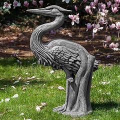 Campania Heron