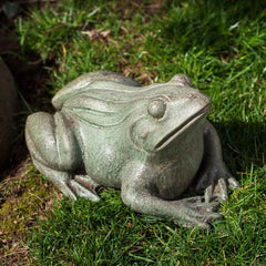 Campania Woodland Frog