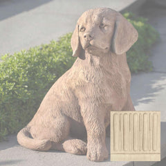 Campania Golden Retriever Puppy