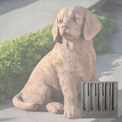 Campania Golden Retriever Puppy