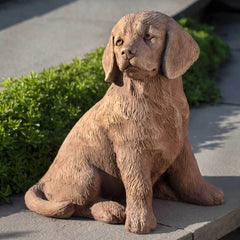 Campania Golden Retriever Puppy