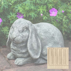 Campania Lop-Eared Bunny