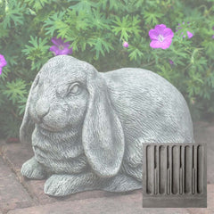 Campania Lop-Eared Bunny