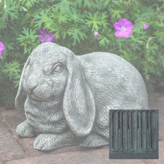 Campania Lop-Eared Bunny