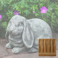 Campania Lop-Eared Bunny