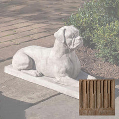 Campania Boxer