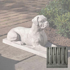 Campania Boxer