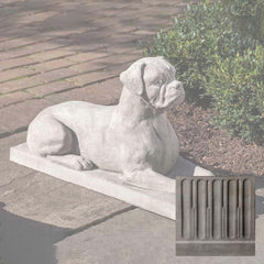 Campania Boxer