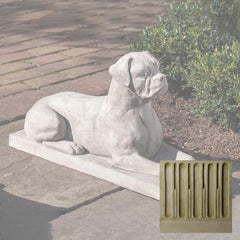 Campania Boxer