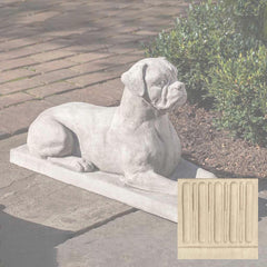 Campania Boxer