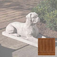 Campania Boxer