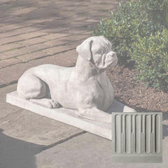 Campania Boxer