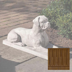 Campania Boxer