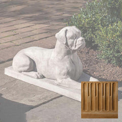 Campania Boxer