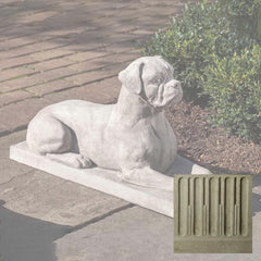 Campania Boxer
